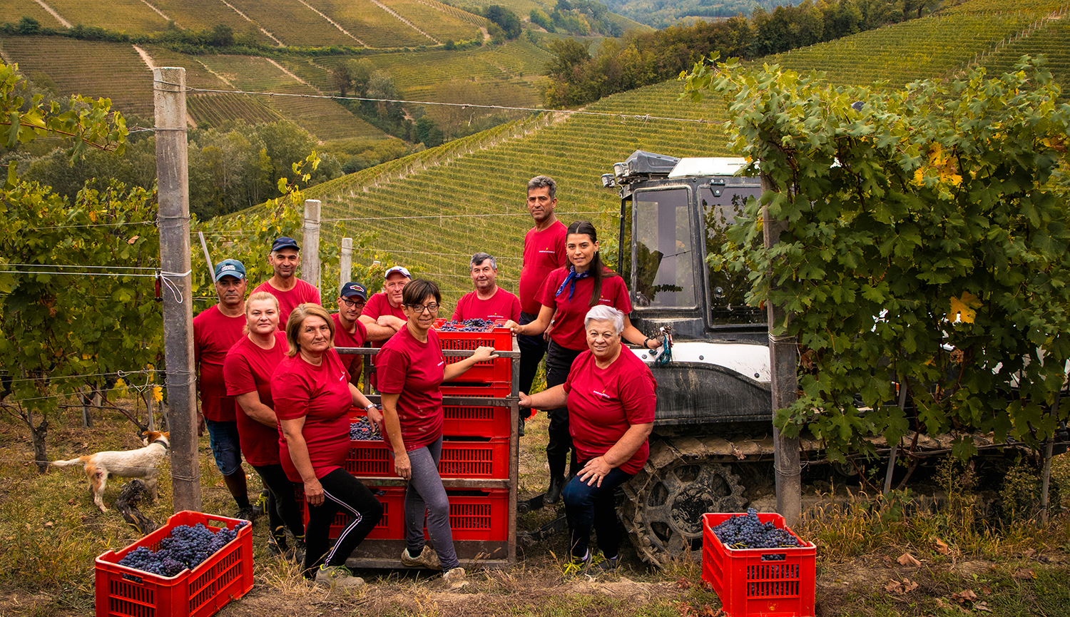 Domenico-Clerico-vendemmia-ott25-00279.jpg
